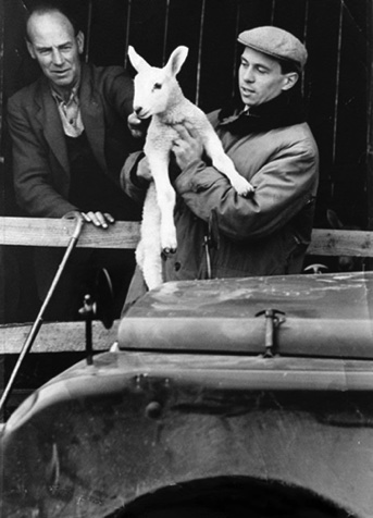 Jil, éleveur de brebis...